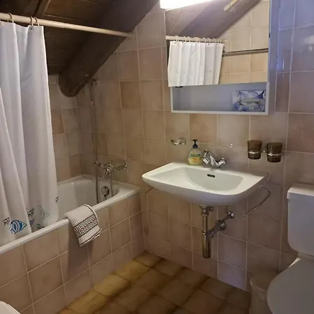 Appartement Chesa Truog Burdun Dw By Interhome