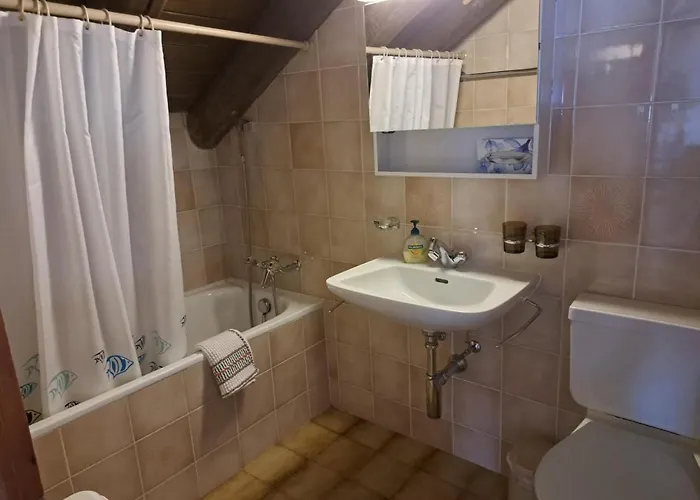 Apartman Chesa Truog Burdun Dw By Interhome